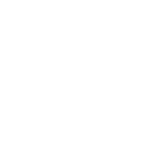 flooring and tile servicee