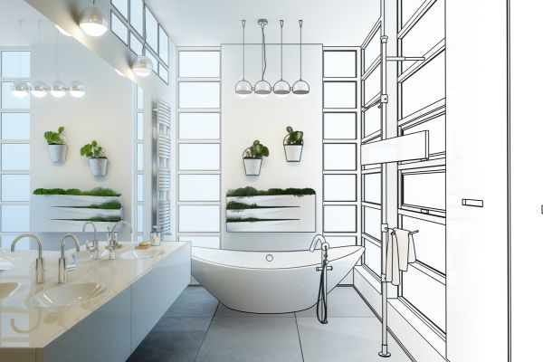planning renovation with a professional designer.